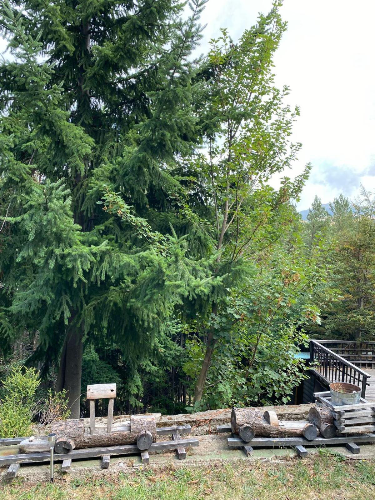 The Patagonian Lodge Coyhaique Luaran gambar